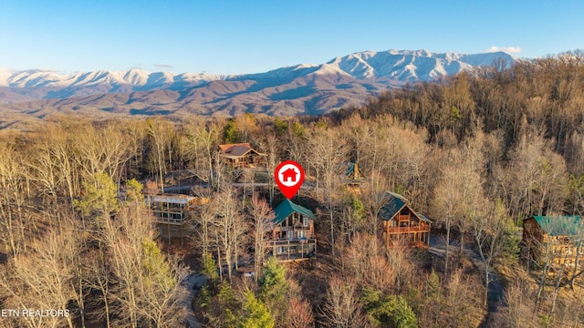1815 Silver Poplar Ln, Sevierville, TN 37876 - view of mountain background featuring a forest
