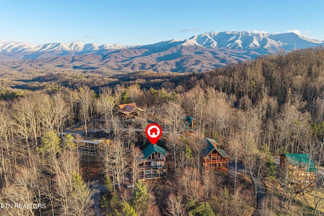1815 Silver Poplar Ln, Sevierville, TN 37876 - view of mountain backdrop featuring a heavily wooded area