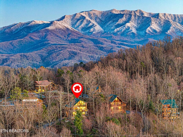1815 Silver Poplar Ln, Sevierville, TN 37876 - view of mountain backdrop featuring a forest