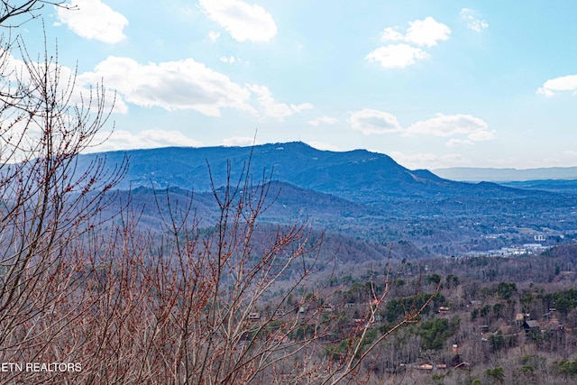 1815 Silver Poplar Ln, Sevierville, TN 37876 - view of mountain backdrop