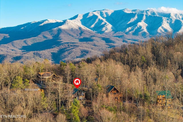 1815 Silver Poplar Ln, Sevierville, TN 37876 - view of mountain background featuring a heavily wooded area