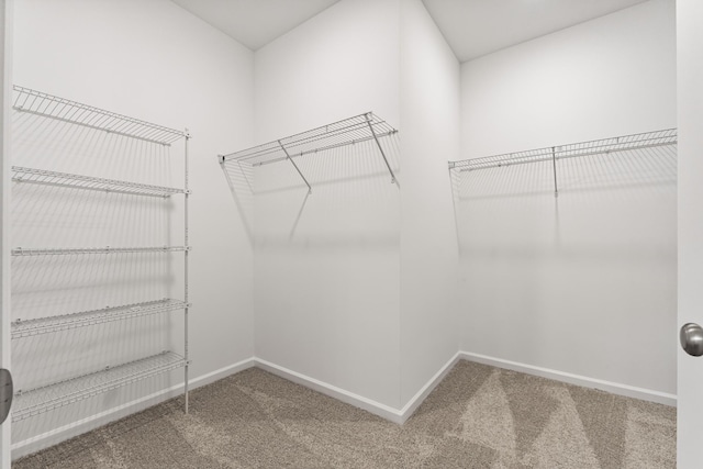 34 Aurora Cir, Fayetteville, TN 37334 - spacious closet featuring carpet floors