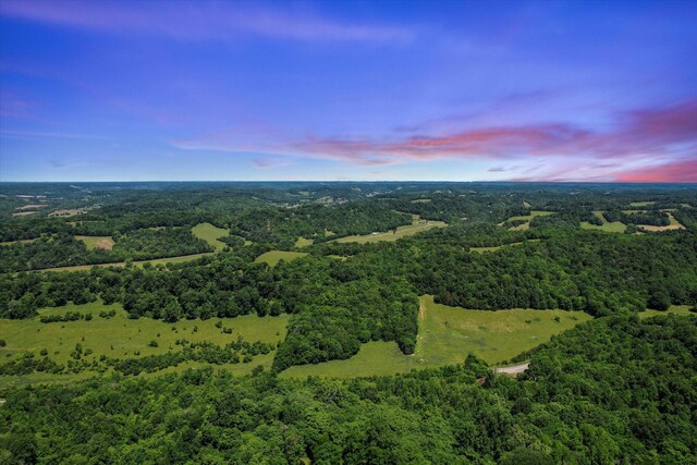 0 Carpenter Rd, Dellrose, TN 38453