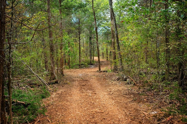 0 Hurricane Creek Rd, Lebanon, TN 37090