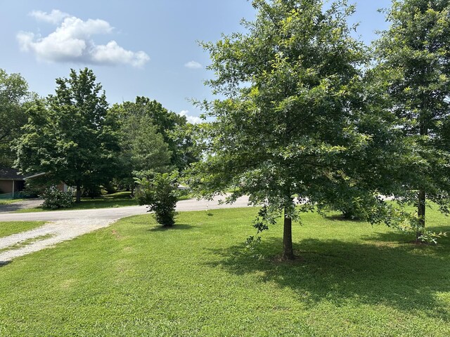 850 Brenda Dr, Pulaski, TN 38478 - photo 9