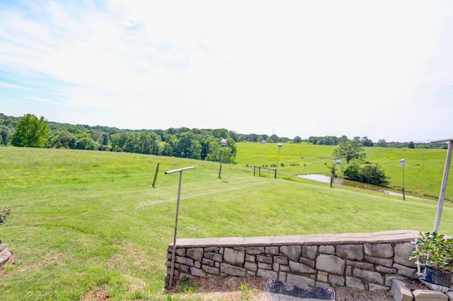 1820 Buck Smith Rd, Palmyra, TN 37142 - view of green lawn with a water view and a rural view