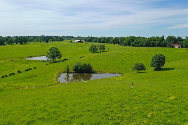 1820 Buck Smith Rd, Palmyra, TN 37142 - view of home's community featuring a view of countryside and a water view