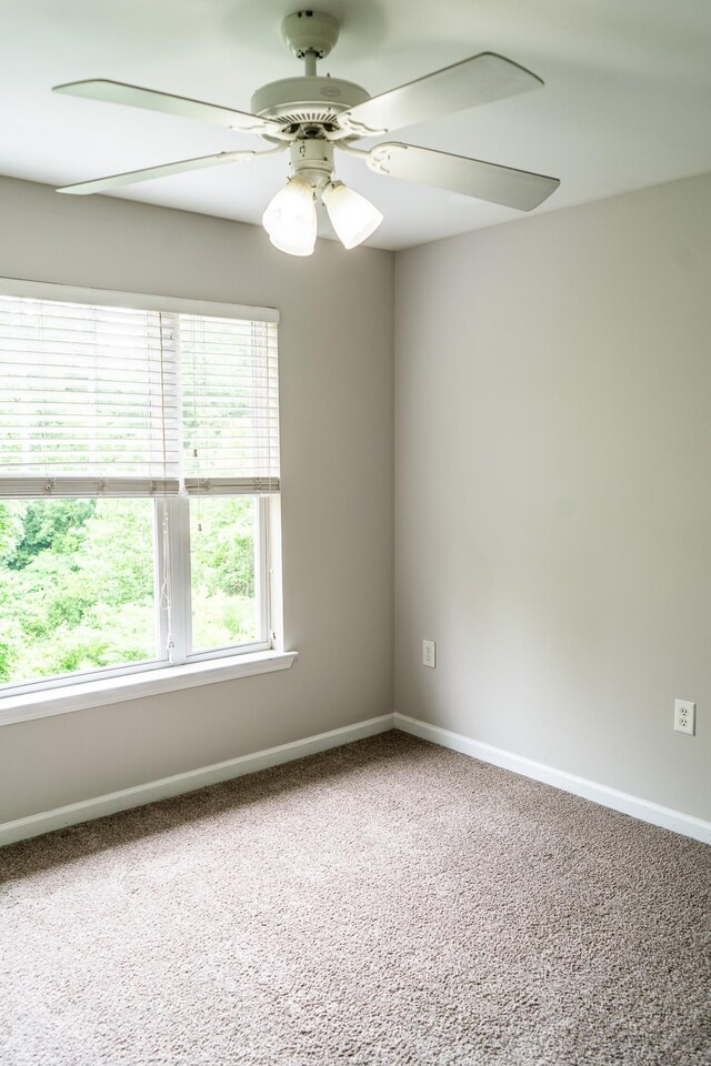 3720 Spruce Ridge Way Unit 2231, Knoxville, TN 37920 - photo 8