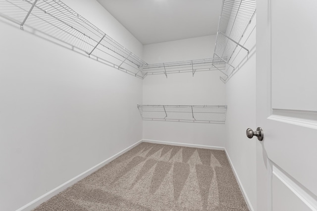36 Aurora Cir, Fayetteville, TN 37334 - spacious closet featuring carpet flooring