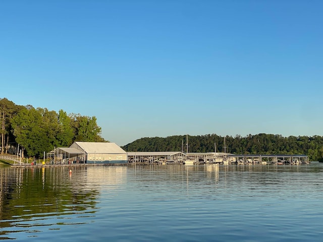6969 Cuba Landing Rd, Waverly, TN 37185 - water view featuring a forest