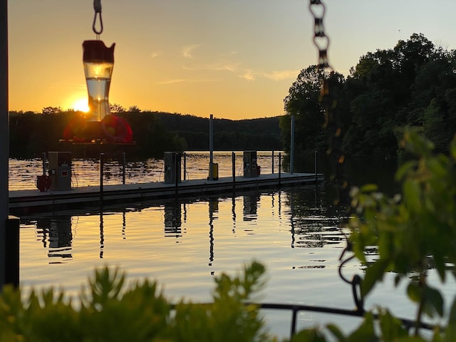 6969 Cuba Landing Rd, Waverly, TN 37185 - water view featuring a boat dock