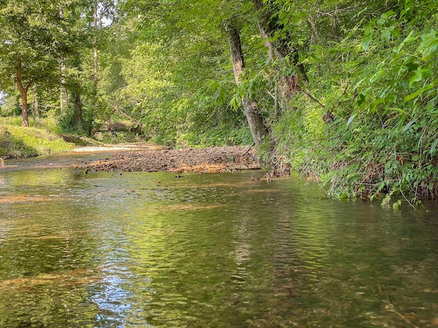 6969 Cuba Landing Rd, Waverly, TN 37185 - water view
