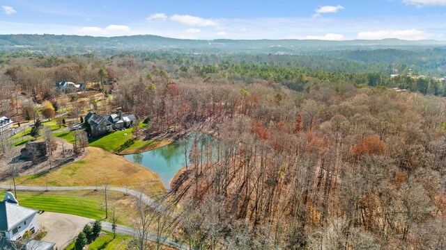 0 Litchfield Ln, Cleveland, TN 37312 - photo 9