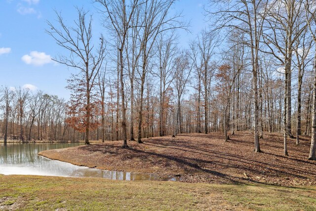 0 Litchfield Ln, Cleveland, TN 37312 - photo 25