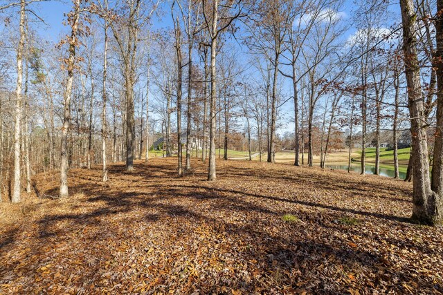 0 Litchfield Ln, Cleveland, TN 37312 - photo 37