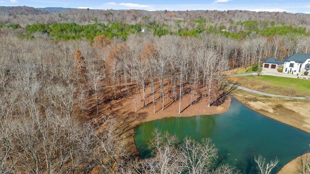0 Litchfield Ln, Cleveland, TN 37312 - photo 13