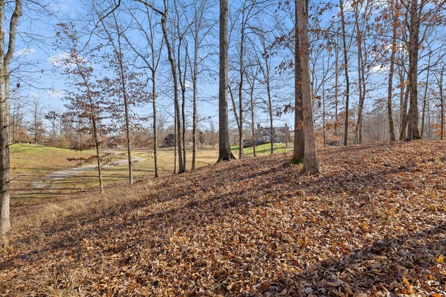 0 Litchfield Ln, Cleveland, TN 37312 - photo 29