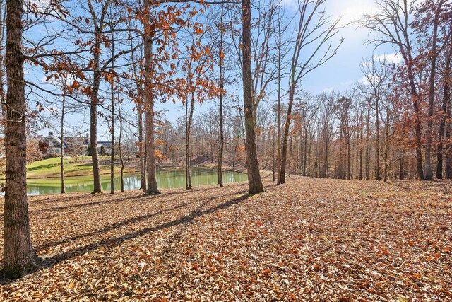 0 Litchfield Ln, Cleveland, TN 37312 - photo 35