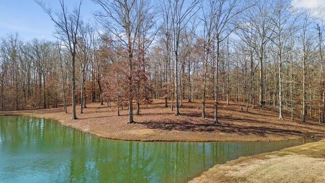 0 Litchfield Ln, Cleveland, TN 37312 - photo 4