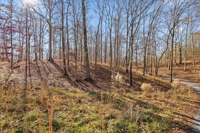 0 Litchfield Ln, Cleveland, TN 37312 - photo 27