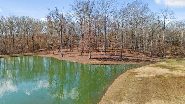 0 Litchfield Ln, Cleveland, TN 37312 - photo 18