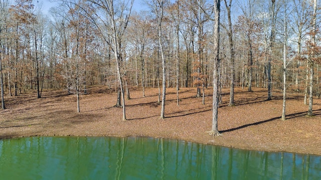 0 Litchfield Ln, Cleveland, TN 37312 - photo 3