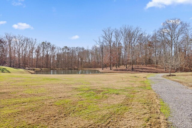 0 Litchfield Ln, Cleveland, TN 37312 - photo 24