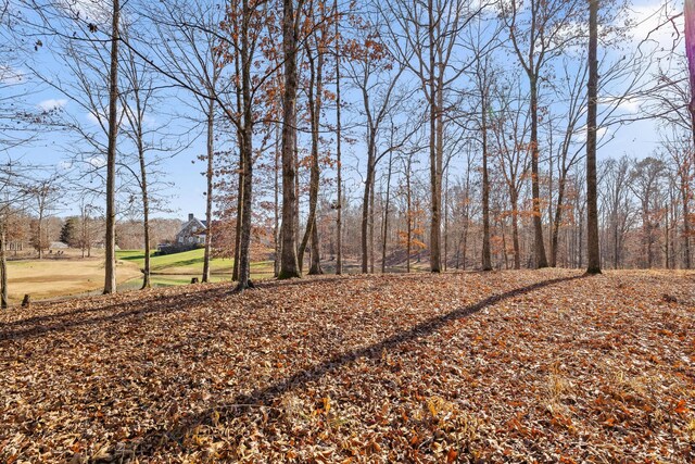 0 Litchfield Ln, Cleveland, TN 37312 - photo 31
