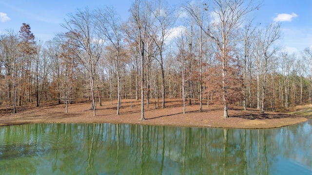 0 Litchfield Ln, Cleveland, TN 37312 - photo 2