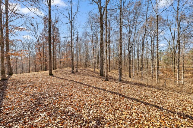 0 Litchfield Ln, Cleveland, TN 37312 - photo 34