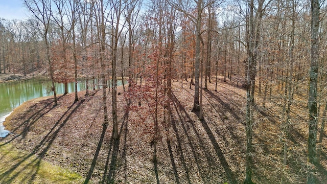 0 Litchfield Ln, Cleveland, TN 37312 - photo 16