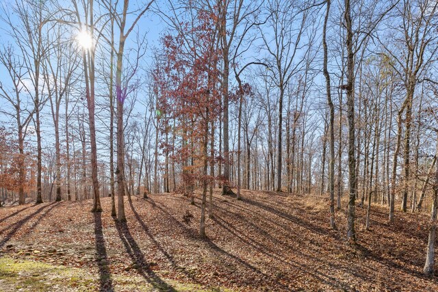 0 Litchfield Ln, Cleveland, TN 37312 - photo 26