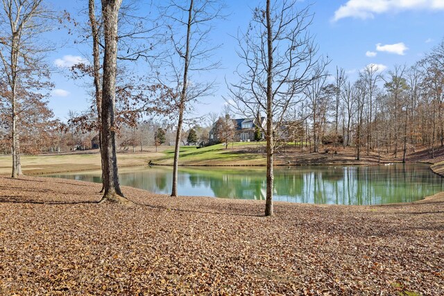 0 Litchfield Ln, Cleveland, TN 37312 - photo 38