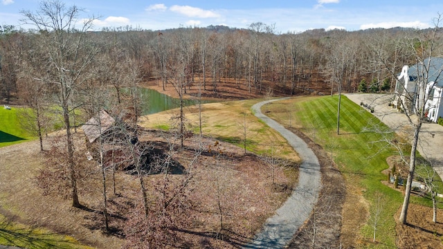 0 Litchfield Ln, Cleveland, TN 37312 - photo 5