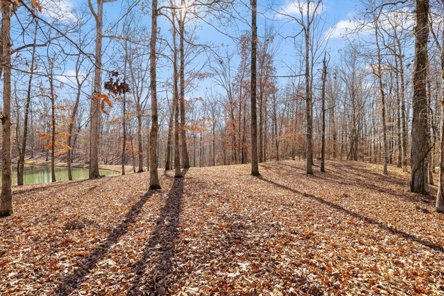 0 Litchfield Ln, Cleveland, TN 37312 - photo 33