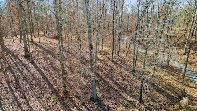0 Litchfield Ln, Cleveland, TN 37312 - photo 17