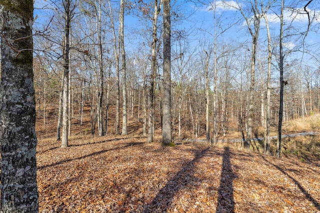 0 Litchfield Ln, Cleveland, TN 37312 - photo 32