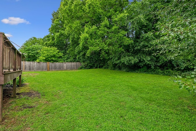 2956 Augusta Trace Dr, Spring Hill, TN 37174 - view of yard