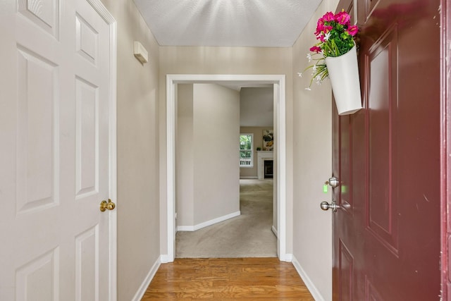 2956 Augusta Trace Dr, Spring Hill, TN 37174 - entrance foyer featuring baseboards, light wood-style floors, and a fireplace