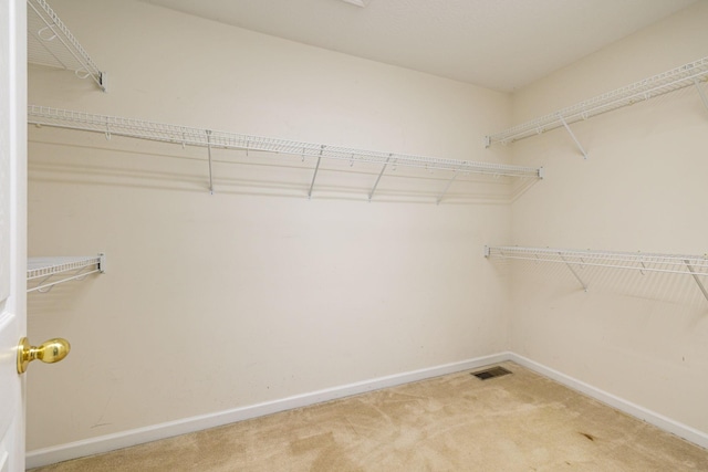 2956 Augusta Trace Dr, Spring Hill, TN 37174 - walk in closet featuring light carpet