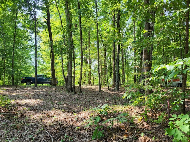 0 Waynoe Rd, Ashland City, TN 37015