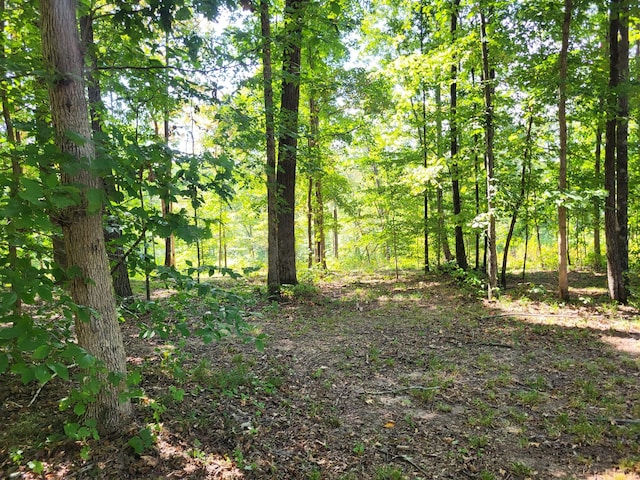 0 Waynoe Rd, Ashland City, TN 37015