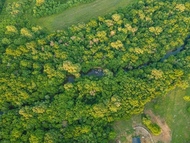 464 Old, Petersburg Park, Petersburg, TN 37144 - aerial view of property and surrounding area featuring a heavily wooded area