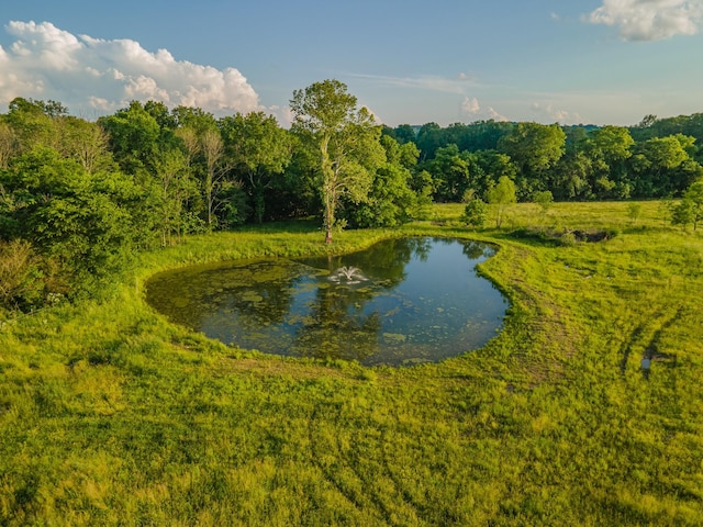 464 Old, Petersburg Park, Petersburg, TN 37144 - water view with a forest