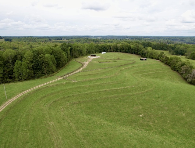 68 Bassham Rd, Five Points, TN 38457 - bird's eye view