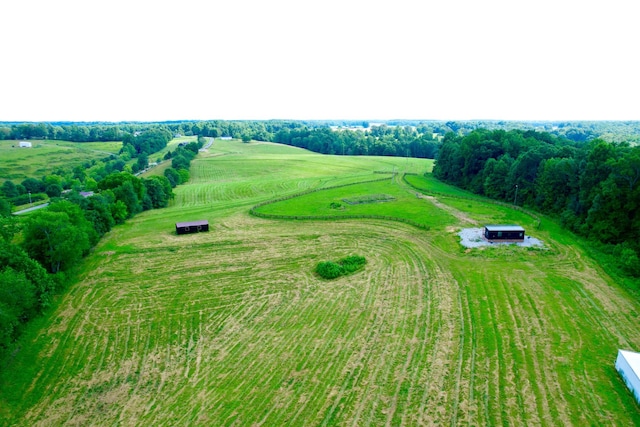 68 Bassham Rd, Five Points, TN 38457 - overview of rural landscape