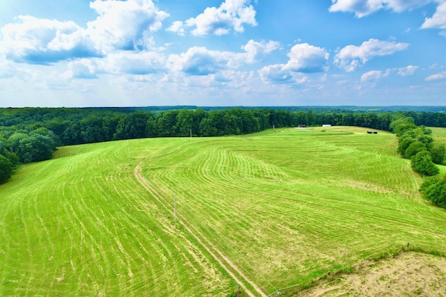 68 Bassham Rd, Five Points, TN 38457 - aerial view of sparsely populated area