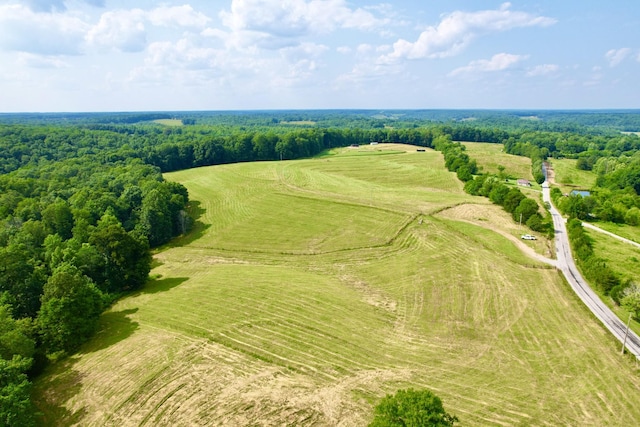 68 Bassham Rd, Five Points, TN 38457 - aerial view of sparsely populated area