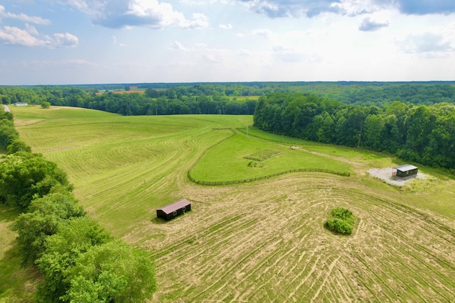 68 Bassham Rd, Five Points, TN 38457 - aerial view of sparsely populated area