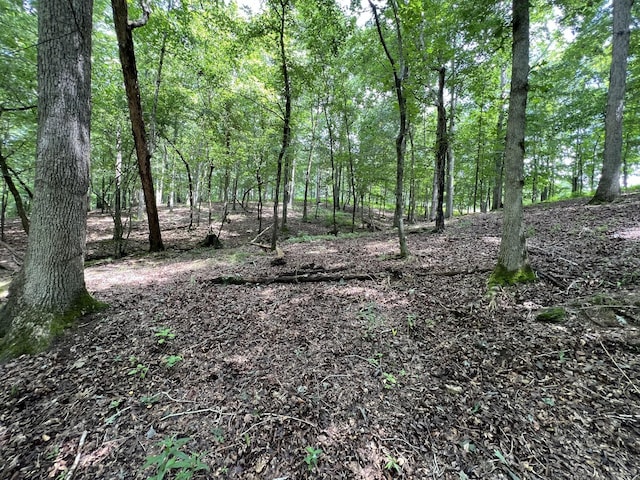 68 Bassham Rd, Five Points, TN 38457 - view of wooded area